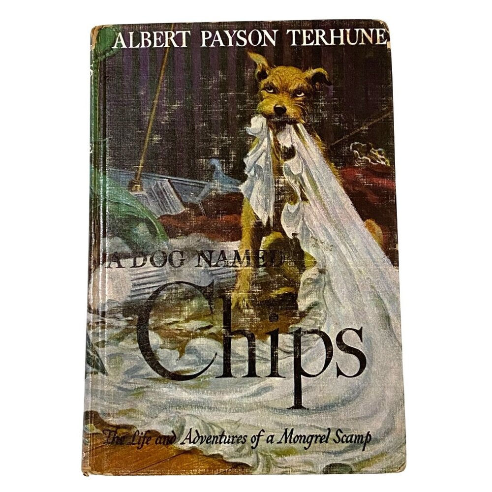 A Dog Named Chips The Life and Adventures of a Mongrel Scamp HC Book Terhune